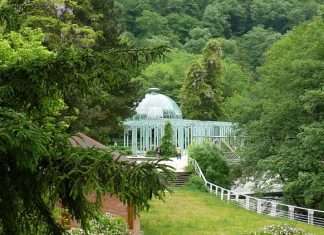 Вартість екскурсій в Грузії