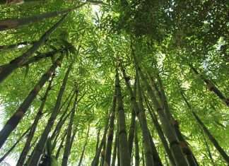 Долина Хэйчжу — Лощина Чорної смерті