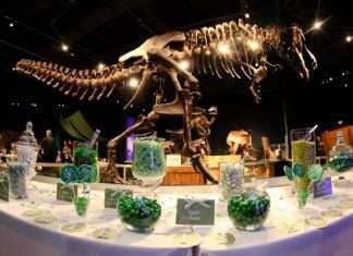 Нью-Йорк дітям: музеї, зоопарки, магазини, шоу та їжа