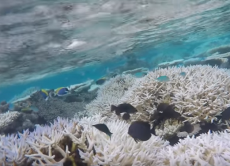 Я на Мальдівах — я в раю!