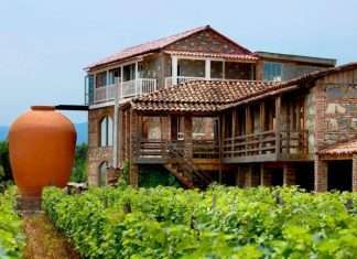 Винний тур в Грузію