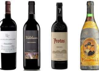 Винні тури в Іспанію: відмінні напої як частина іспанської культури і традицій