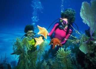 Дайвінг в Батумі