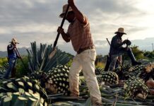 Гвадалахара: гаряча точка для подорожей у 2026 році, підживлена спортом, культурою та доступністю