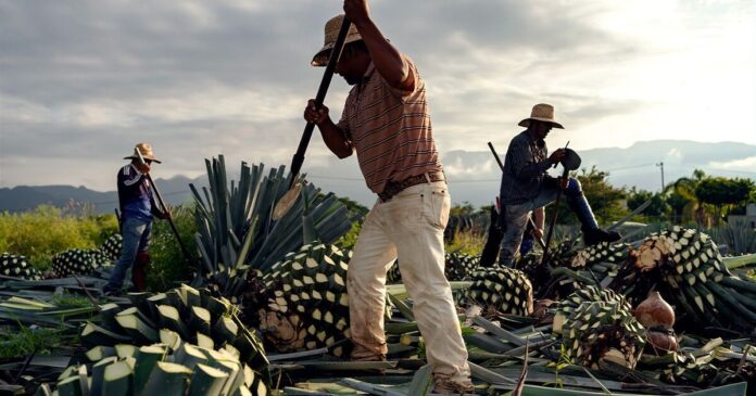 454f9d37-35d8-45b8-988f-0050fc2ab50f