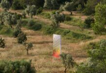 Parques de esculturas: una nueva era de experiencias artísticas inmersivas