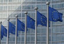 Кліматичні цілі ЄС, тиск штучного інтелекту на OTA та перехід на здоровий бізнес: огляд галузі