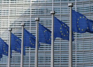 Кліматичні цілі ЄС, тиск штучного інтелекту на OTA та перехід на здоровий бізнес: огляд галузі