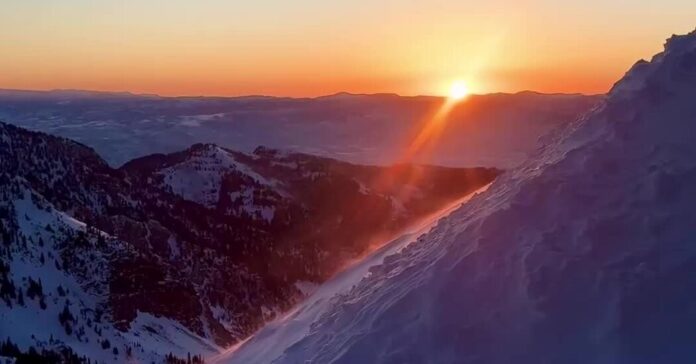 8384da63-e69d-4727-aa47-d8ef5f6c9625