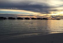 Медовий місяць у Park Hyatt Maldives перетворився на пекло: расова дискримінація, загрози безпеці та повна відсутність відповідальності