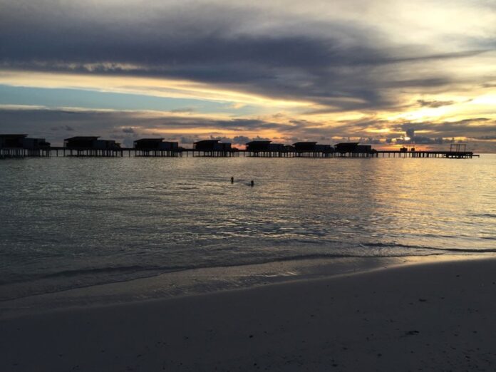 07e10082-eaab-4666-9254-e367a561771f