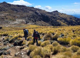 За межами Кіліманджаро: Досліджуючи Приховані Вершини Африки