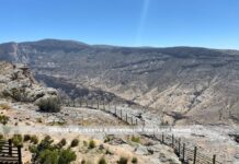 Збільште винагороду за житло: посібник із нової системи кредитних карт Bilt