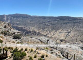 Збільште винагороду за житло: посібник із нової системи кредитних карт Bilt