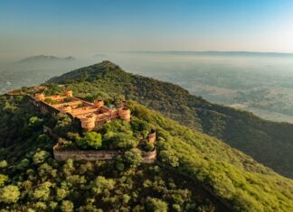 Авіація та готельний бізнес: тенденції, штучний інтелект, розширення та зрушення у керівництві