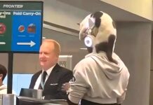 Чоловік Ношив Кішку Замість Головного Убору в Аеропорті, Порушуючи Правила Авіакомпанії