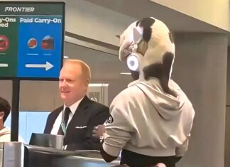 Чоловік Ношив Кішку Замість Головного Убору в Аеропорті, Порушуючи Правила Авіакомпанії