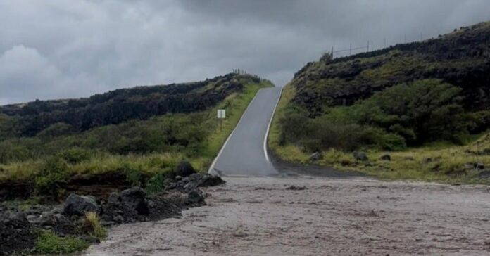 64adf393-1fb8-4883-812c-859ff275977a