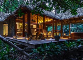 Малайзія: Розкішні пригоди в Борнео та Лангкаві пропонують дику природу без поневірянь