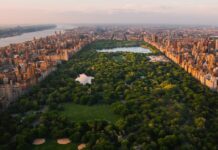 Чемпіонат світу з футболу 2026 у Нью-Йорку та Нью-Джерсі: Путівник для вболівальників