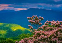 Nine Underrated Spring Travel Destinations for 2026