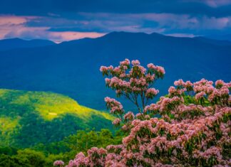 Девять Недооцененных Направлений для Весенних Путешествий в 2026 Году