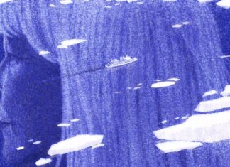 Остання Подорож: Розсіювання Праху в Антарктиді