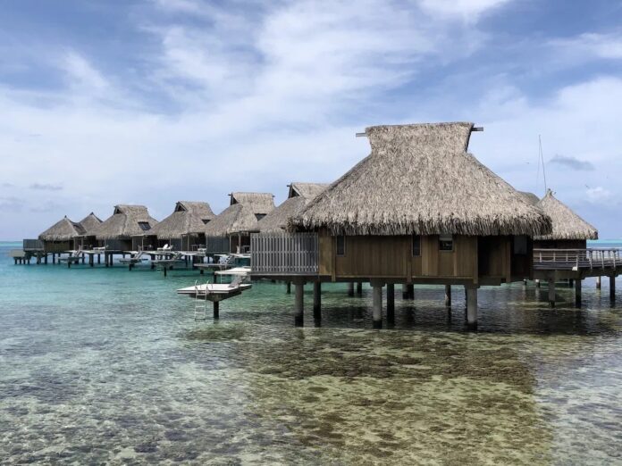 d2ad690e-f30d-4dc9-80b1-891dd7ff7893