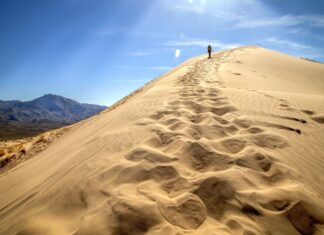 Больше, чем неон: 9 природных чудес на вашем пути по Трассе 66