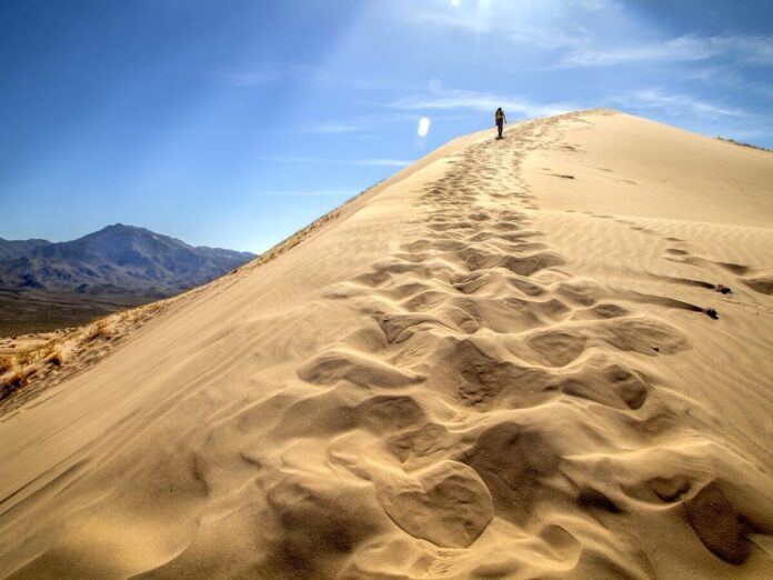 24540619-b5c6-4d7a-b70f-ecb1bb8e2a78