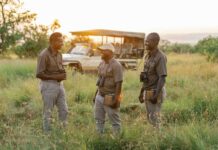 Більш ніж сафарі: чи може вивчення суахілі перетворити подорож Східною Африкою?