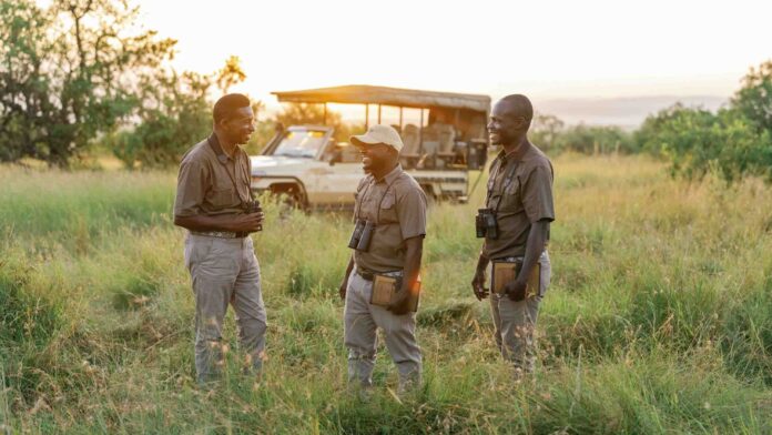 505d4eb9-3f96-40cd-9054-1fd66d83d3a3