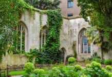 Die Wildnis im Betondschungel finden: Ein Leitfaden zu Londons ungezähmten Gegenden