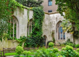 Дика природа в бетонних джунглях: путівник незайманими куточками Лондона