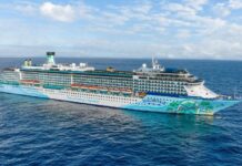 Margaritaville at Sea: Ein entspanntes Kreuzfahrterlebnis für jeden Reisenden