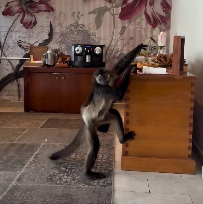 dfda7784-b769-4862-b37a-046218d681b1