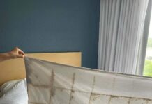 Кошмар в Hyatt: грязное постельное бельё, занятые номера и молчание руководства