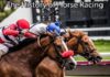 Paardenraces: van oude strijdwagens tot het moderne circuit – alles overal