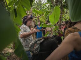 Será a utopia fracassada de Auroville Índia ou sua última esperança?
