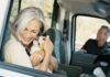 How to Choose Stress-Free Pet Boarding for Your Next Vacation
