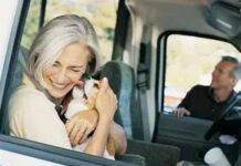 Cómo elegir un alojamiento para mascotas sin estrés para sus próximas vacaciones
