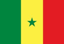 Senegal Travel Guide: History, Logistics, and Where to Go