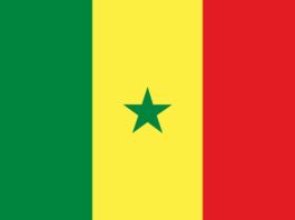 Senegalský cestovní průvodce: Historie, logistika a kam jít