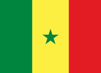 Senegal Travel Guide: History, Logistics, and Where to Go